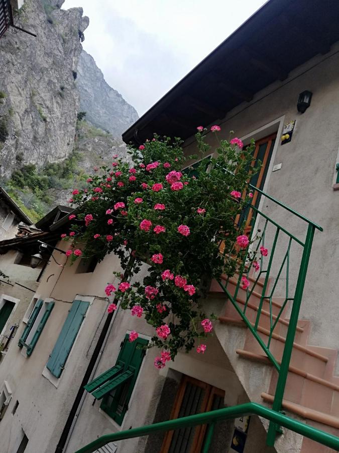 شقة Casa Maria Lafinestrasulgarda ليمونِ سول غاردا المظهر الخارجي الصورة