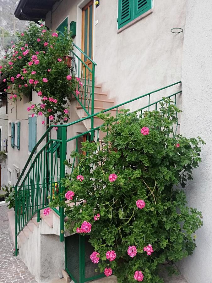 شقة Casa Maria Lafinestrasulgarda ليمونِ سول غاردا المظهر الخارجي الصورة