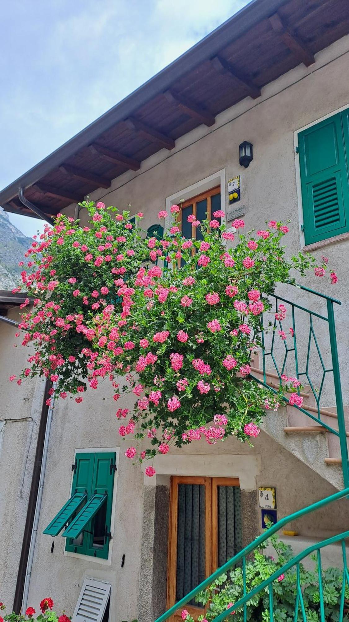 شقة Casa Maria Lafinestrasulgarda ليمونِ سول غاردا المظهر الخارجي الصورة